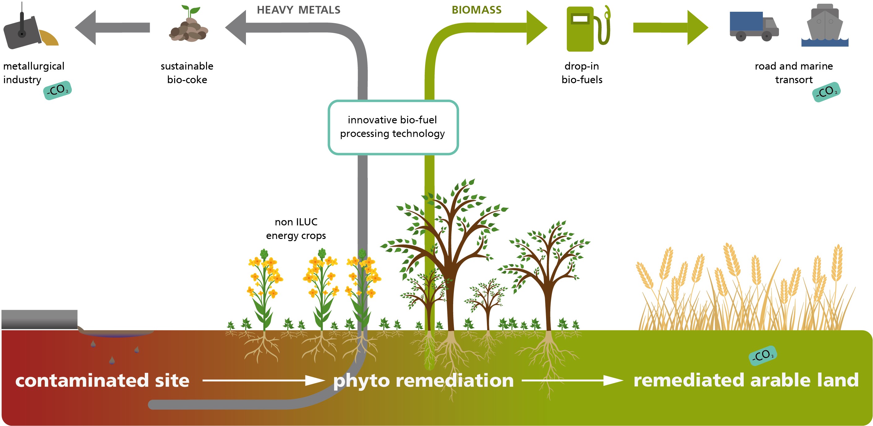 Phy2Climate-Projektgrafik.jpg