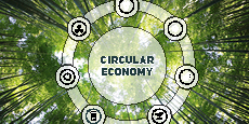 Umweltcluster Bayern BIHK Webinarreihe Circular Economy