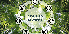 Webinarreihe Circular Economy UCB IHK