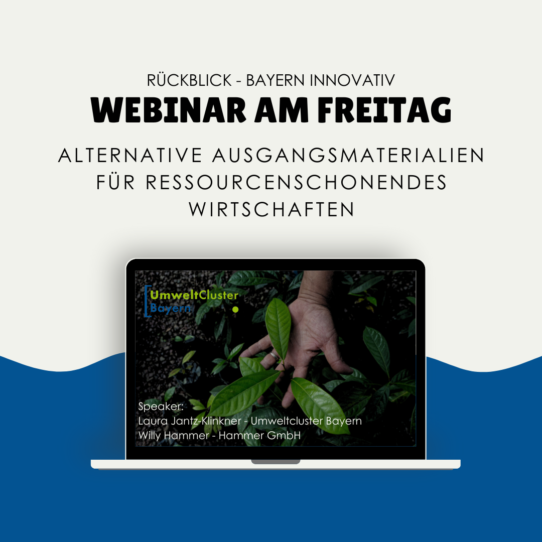 Webinar am Freitag 1