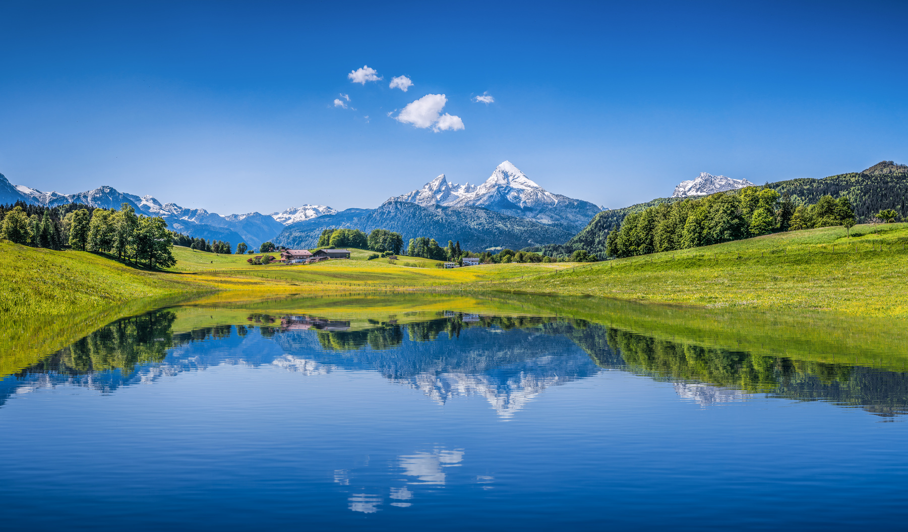 Jahresrückblick